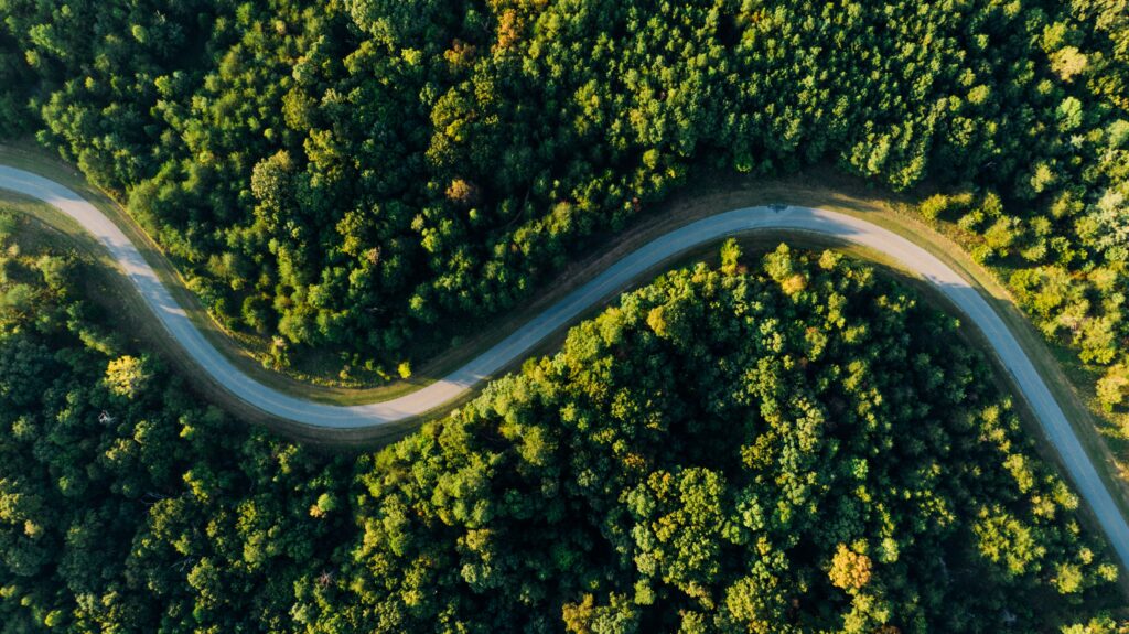 bird's eye view of a winding road surrounded by trees